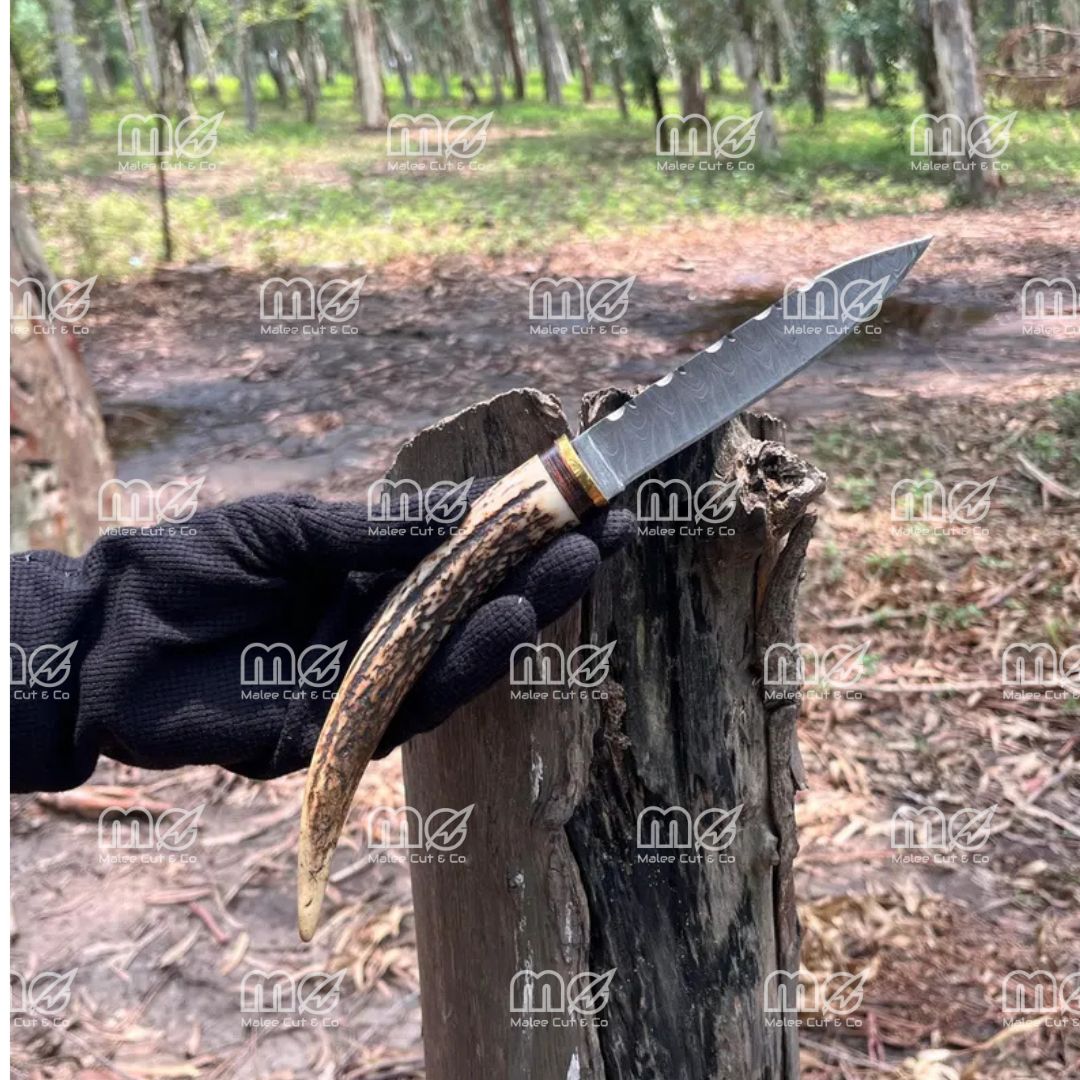 Handmade Damascus Hunting Knife With Stag Antler Handle