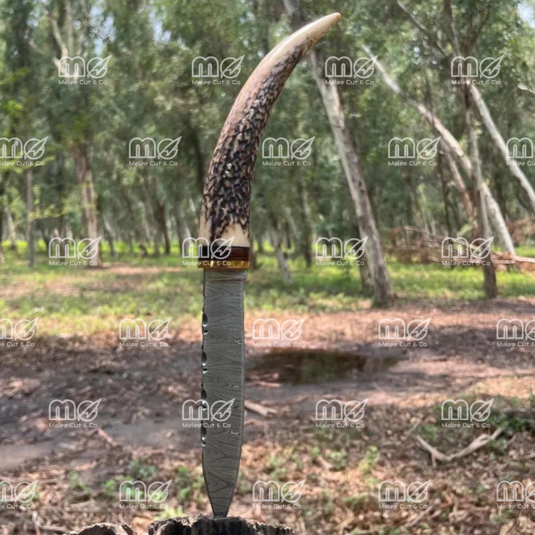 Handmade Damascus Hunting Knife With Stag Antler Handle