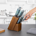 11-Piece Real Abalone Shell Damascus Knife Set with Acacia Wood Block