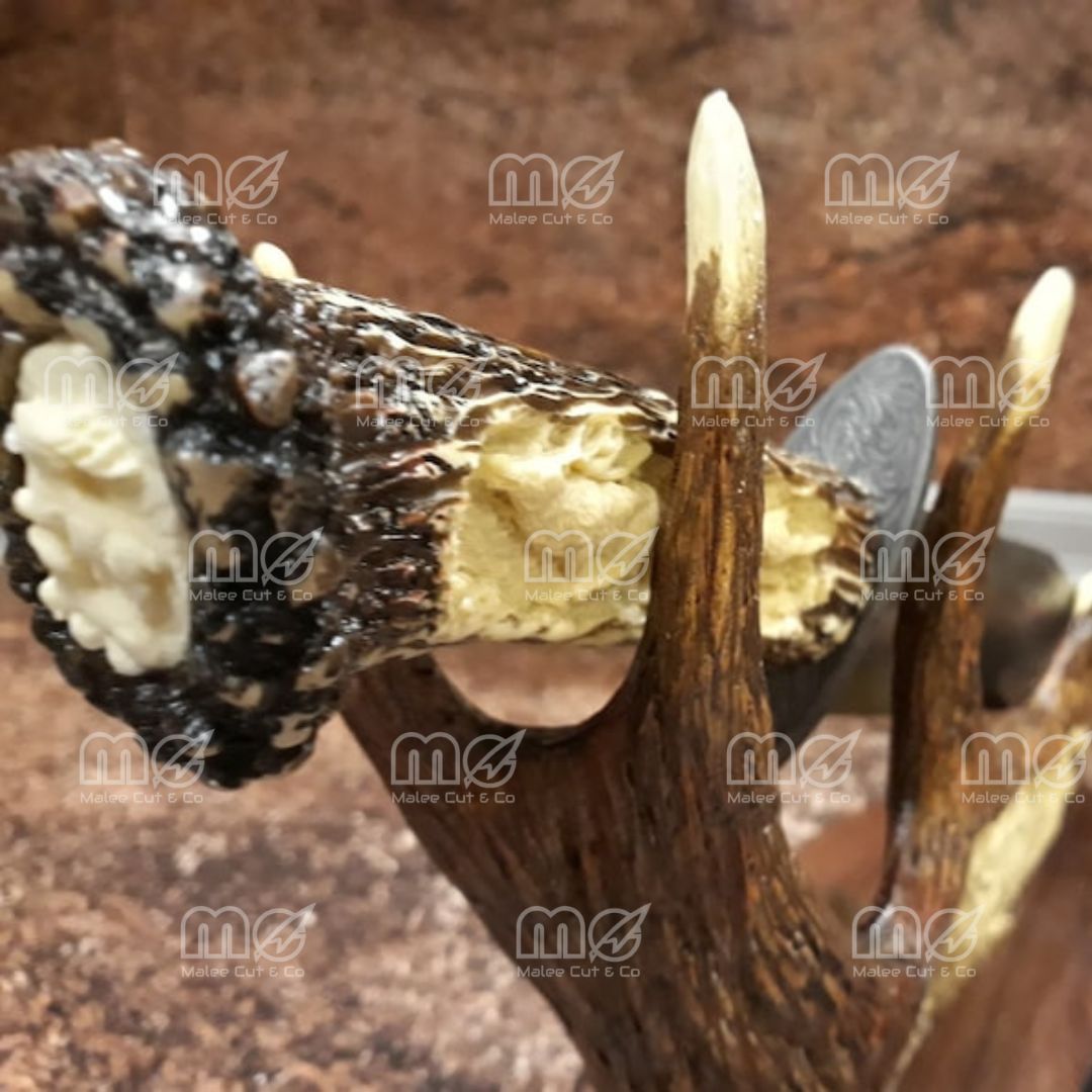 Engraved Hunting Knife With Antler Stand