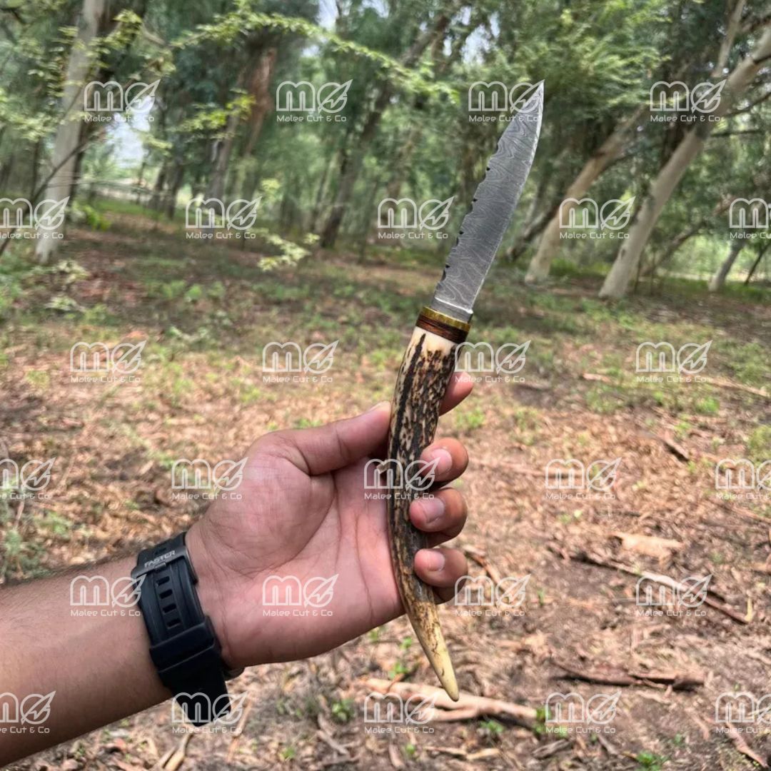 Handmade Damascus Hunting Knife With Stag Antler Handle
