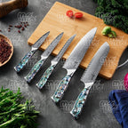 11-Piece Real Abalone Shell Damascus Knife Set with Acacia Wood Block