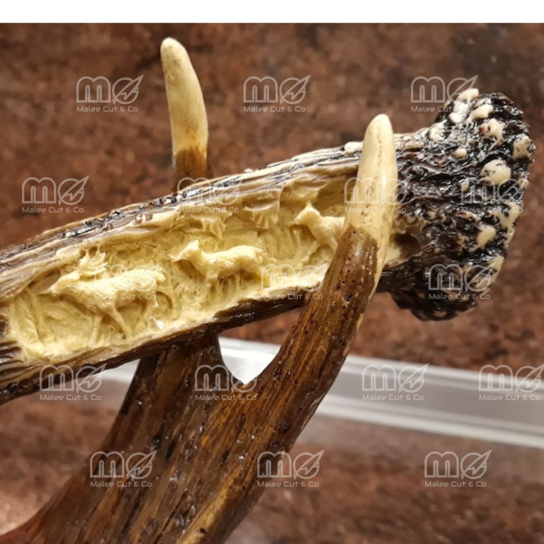 Engraved Hunting Knife With Antler Stand