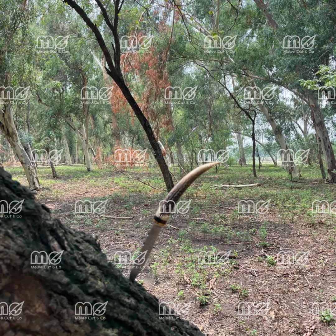 Handmade Damascus Hunting Knife With Stag Antler Handle