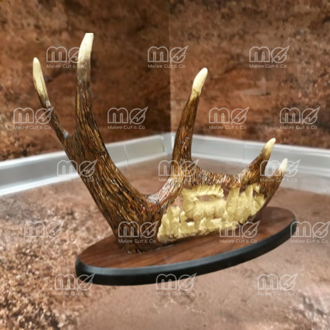 Engraved Hunting Knife With Antler Stand