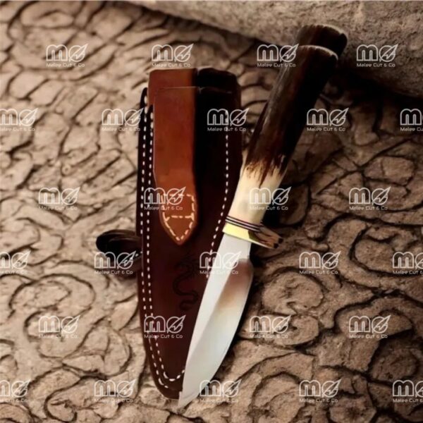 9" Stainless Steel Bowie Knife With Stag Horn Handle